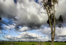 鲁能主场迎战苏宁：一场足球盛宴