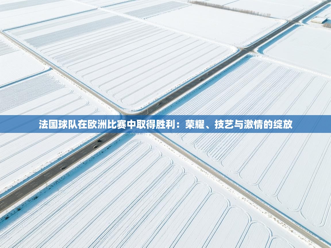 法国球队在欧洲比赛中取得胜利：荣耀、技艺与激情的绽放  第1张