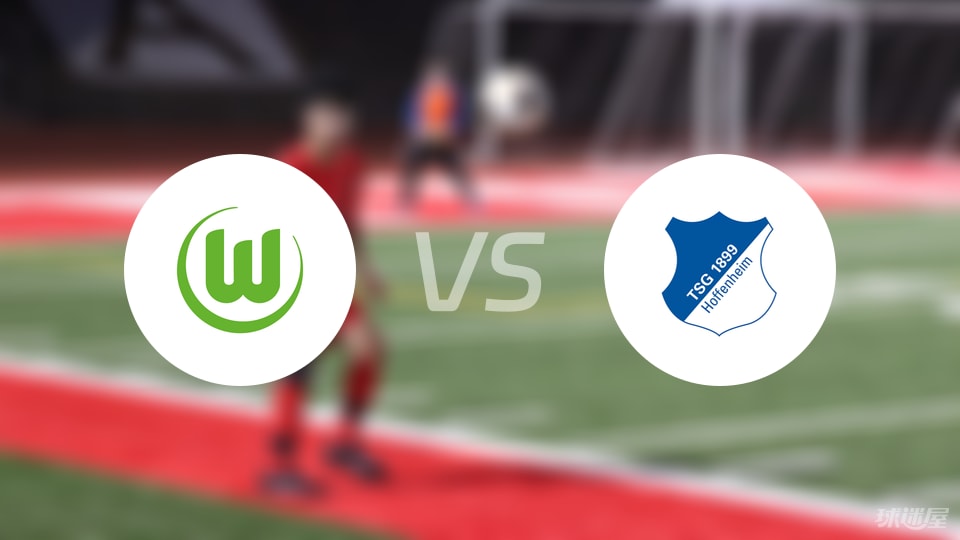 关于沃尔夫斯堡表现出色，期待战胜霍芬海姆的信息