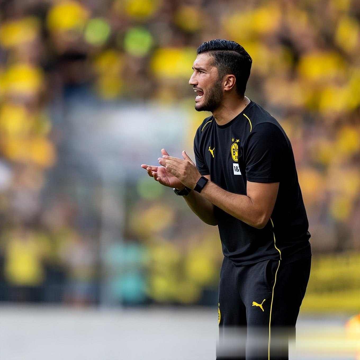 包含泰国籍球员加盟多特蒙德，为球队带来新希望的词条